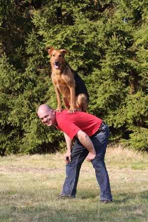 Mann mit Hund auf Rücken